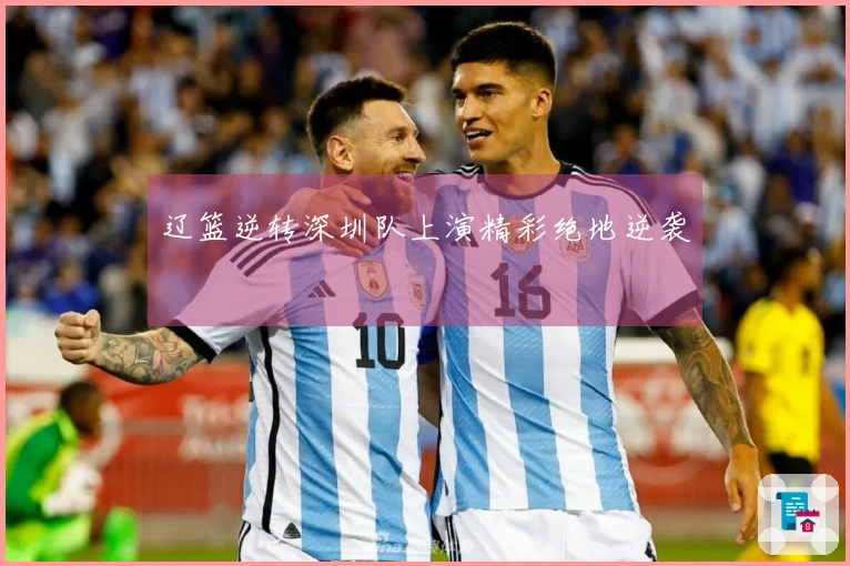 辽篮逆转深圳队上演精彩绝地逆袭