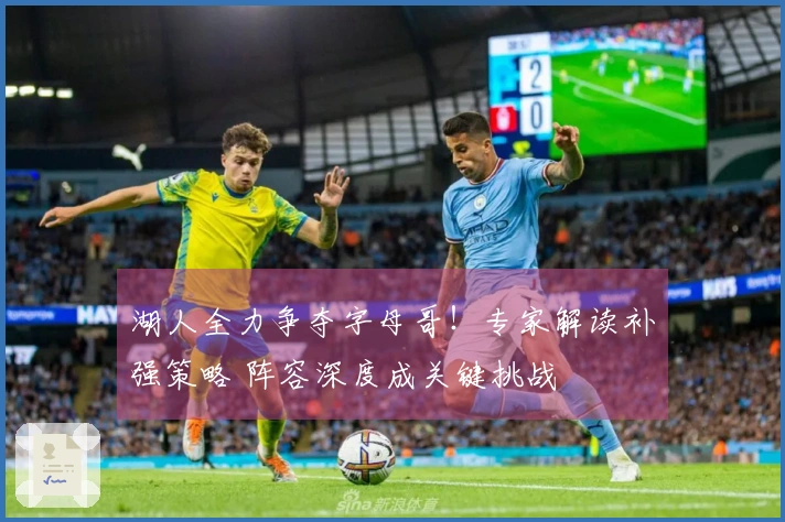 湖人全力争夺字母哥！专家解读补强策略 阵容深度成关键挑战